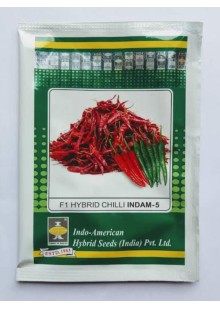 INDAM 5 